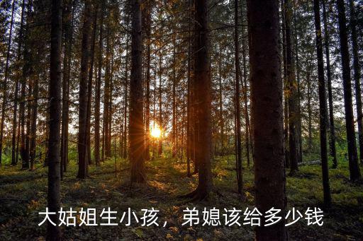 大姑姐生小孩，弟媳該給多少錢