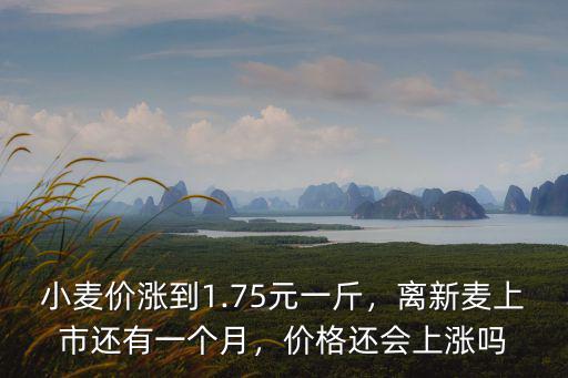 小麥今日收購價(jià)多少錢一斤阜陽,稻谷最低收購價(jià)多少錢一斤