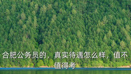 合肥每年多少人考公務員,合肥公務員的