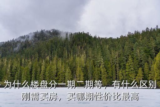為什么樓盤分一期二期等，有什么區(qū)別剛需買房，買哪期性價比最高