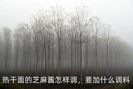 熱干面的芝麻醬怎樣調(diào)，要加什么調(diào)料