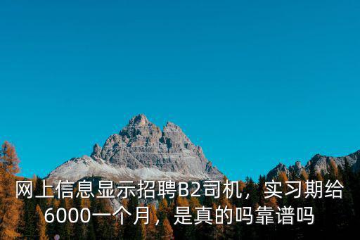 廣元哪里在招聘b2司機,哪里招B2司機