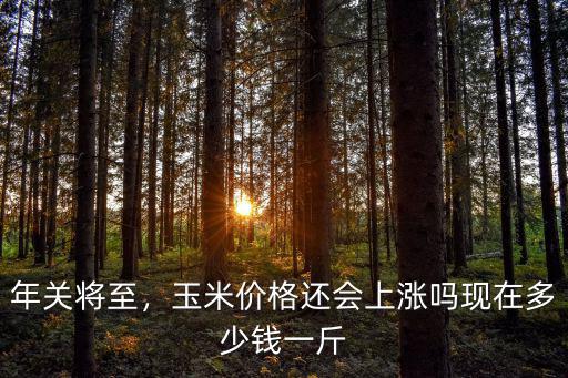 邯鄲現在玉米價格多少錢,現在多少錢一斤