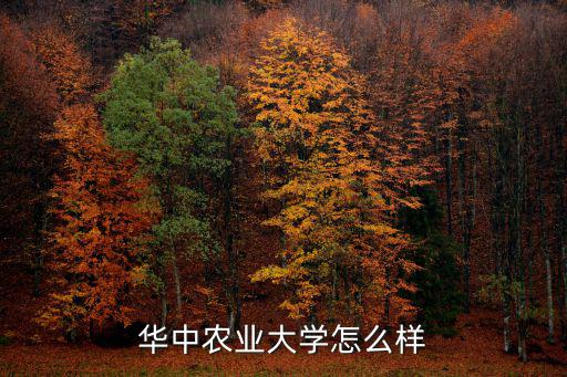 華中農(nóng)業(yè)大學怎么樣