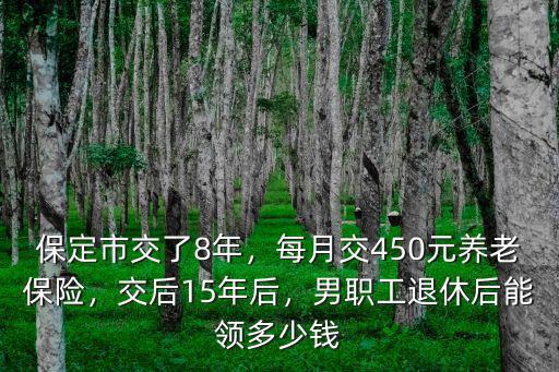 保定每月交養老保險多少,每月交450元養老保險