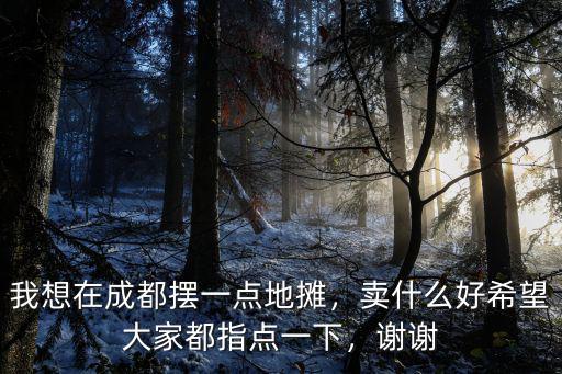 我想在成都擺一點地攤，賣什么好希望大家都指點一下，謝謝