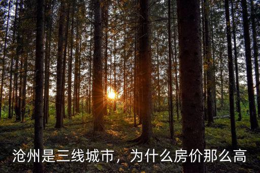 市政一個月多少工資滄州幾線城市,滄州是三線城市