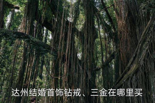 達(dá)州哪里可以結(jié)婚,達(dá)州結(jié)婚首飾鉆戒