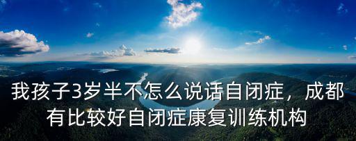 我孩子3歲半不怎么說話自閉癥，成都有比較好自閉癥康復訓練機構