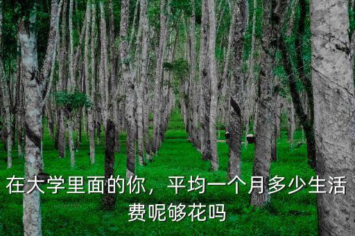 在大學里面的你，平均一個月多少生活費呢夠花嗎