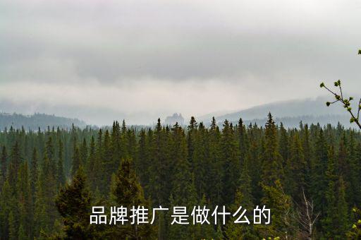 廊坊做品牌推廣多少錢,品牌推廣是做什么的