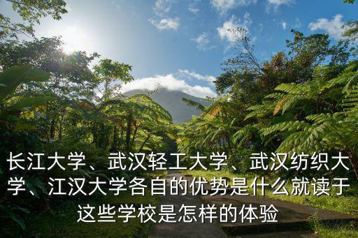 怎么評價武漢輕工大學,武漢輕工大學