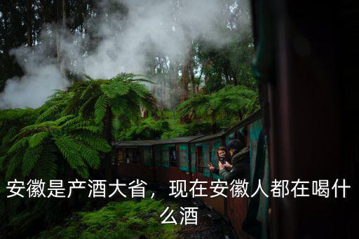 安徽是產(chǎn)酒大省，現(xiàn)在安徽人都在喝什么酒
