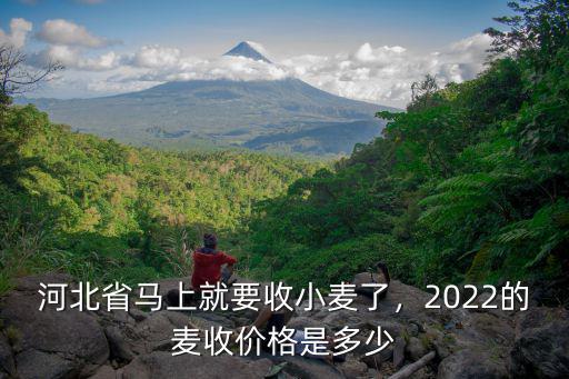 河北省馬上就要收小麥了，2022的麥收價格是多少