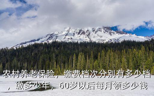 河北省農村養老保險是多少,農村養老保險