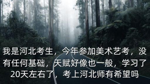 我是河北考生，今年參加美術藝考，沒有任何基礎，天賦好像也一般，學習了20天左右了，考上河北師有希望嗎