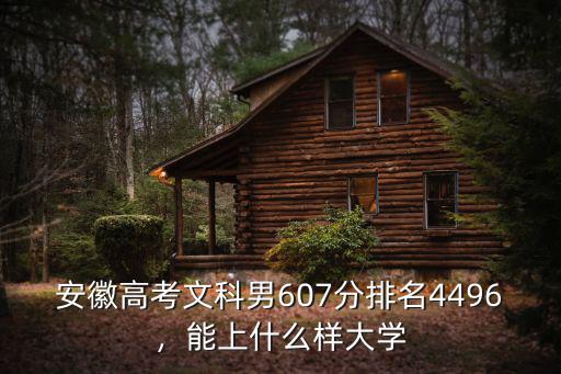 安徽文科排名多少上北大,安徽文科生多少分能上985