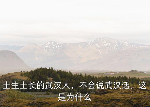 土生土長的武漢人，不會說武漢話，這是為什么