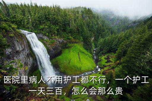 邢臺人民醫院護工多少錢,醫院里病人不用護工都不行