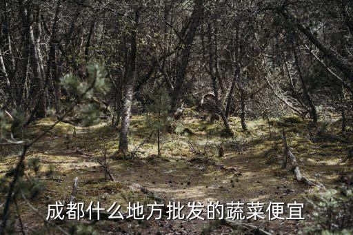 成都什么地方批發的蔬菜便宜
