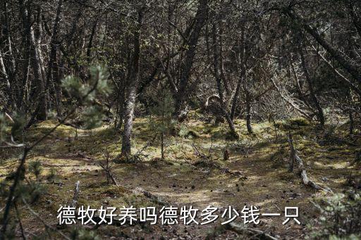德牧好養(yǎng)嗎德牧多少錢一只