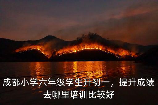 成都初中培訓學校哪里好,成都培訓學校哪些學校好