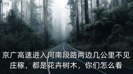河南鮮花怎么,河南農村種植什么花卉好看