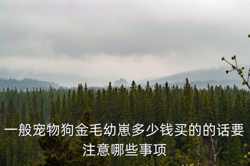 一般寵物狗金毛幼崽多少錢(qián)買(mǎi)的的話(huà)要注意哪些事項(xiàng)