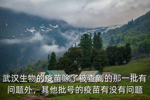 武漢生物的疫苗除了被查到的那一批有問題外，其他批號的疫苗有沒有問題