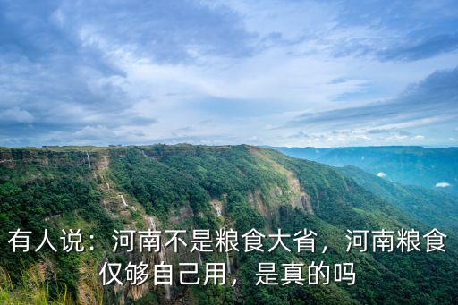 有人說：河南不是糧食大省，河南糧食僅夠自己用，是真的嗎