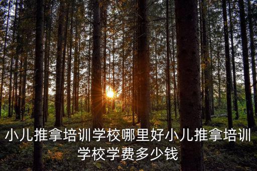 內(nèi)江哪里有做小兒推拿的,小兒推拿培訓(xùn)學(xué)校哪里好
