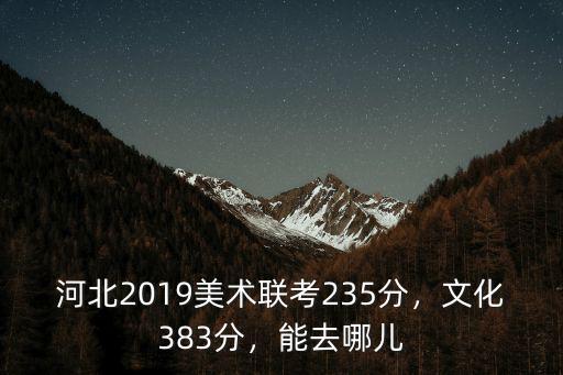 河北美術聯(lián)考多少分可以嗎,河北美術聯(lián)考249分