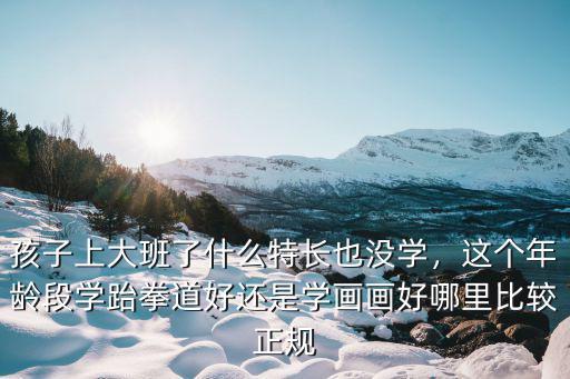 孩子上大班了什么特長也沒學，這個年齡段學跆拳道好還是學畫畫好哪里比較正規
