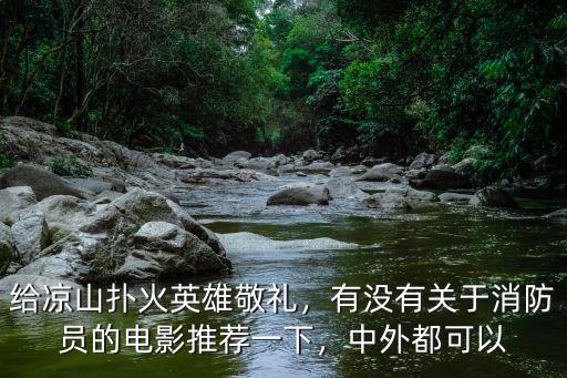 涼山撲火英雄陜西籍是哪里人,給涼山撲火英雄敬禮