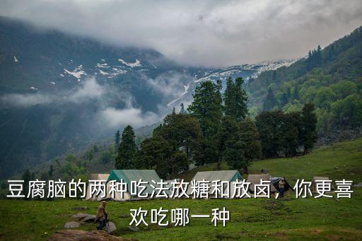 豆腐腦的兩種吃法放糖和放鹵，你更喜歡吃哪一種