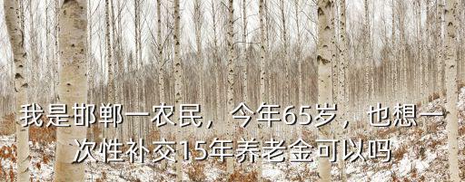 邯鄲明年交多少養(yǎng)老金,每年大概交多少
