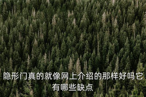 達州哪里有隱形門,隱形門都有哪些特點