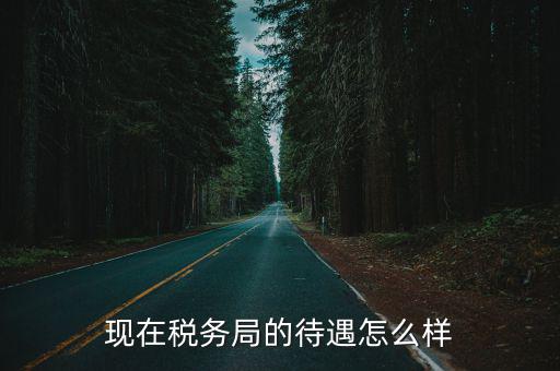 湖北仙國稅局待遇怎么樣,武漢市國稅局待遇怎么樣
