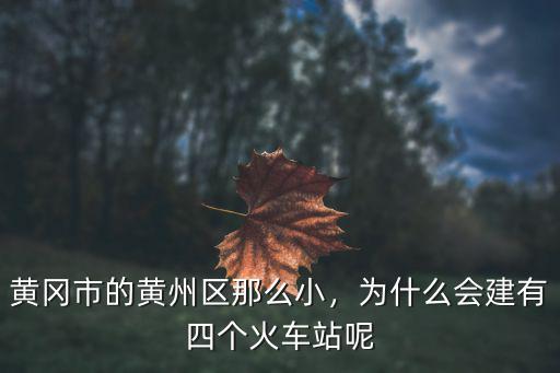 黃岡市黃州區雅圖影星影院怎么取票,黃岡市的黃州區那么小