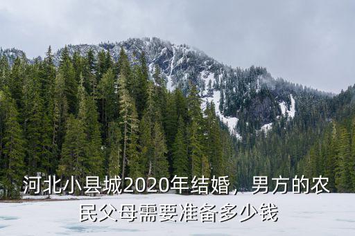 河北滄縣農村婚宴多少錢一桌,一桌要多少錢