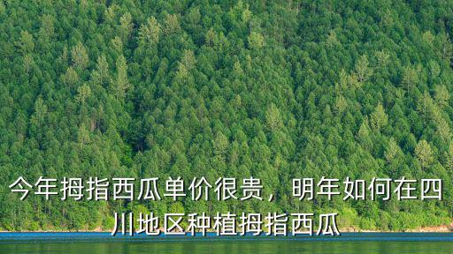 四川現在哪里有西瓜,四川西瓜有哪些品種