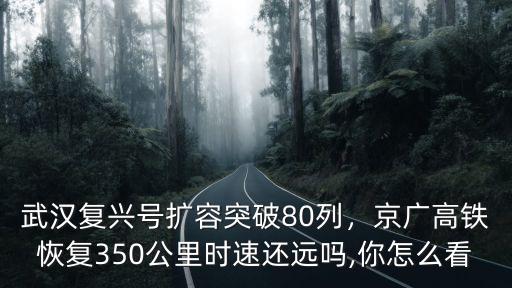 武漢復興號擴容突破80列，京廣高鐵恢復350公里時速還遠嗎,你怎么看