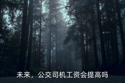 蕪湖公交駕駛員工資多少,開公交工資高嗎