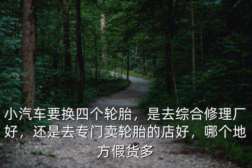 小汽車要換四個輪胎，是去綜合修理廠好，還是去專門賣輪胎的店好，哪個地方假貨多