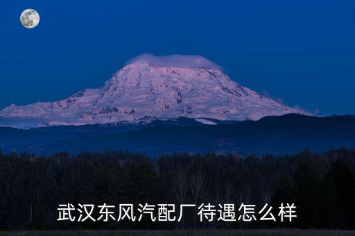 武漢東風汽配廠待遇怎么樣