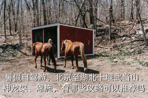 暑假自駕游，北京至湖北十堰武當山、神龍架、恩施，有哪些攻略可以推薦嗎