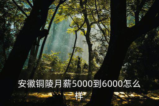 安徽銅陵月薪5000到6000怎么樣