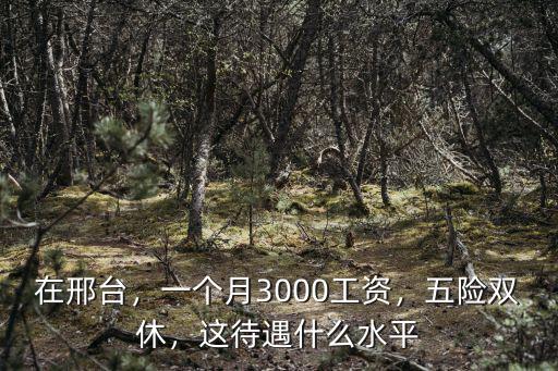 邢臺洗碗工資多少錢一個月,一個月3000工資
