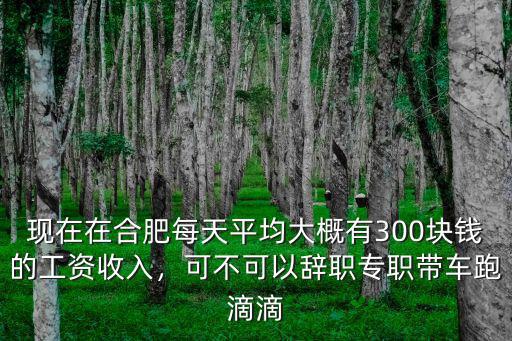 現在在合肥每天平均大概有300塊錢的工資收入，可不可以辭職專職帶車跑滴滴