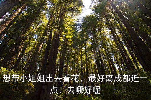 成都去哪里免費(fèi)看花,成都周邊賞花去哪里好